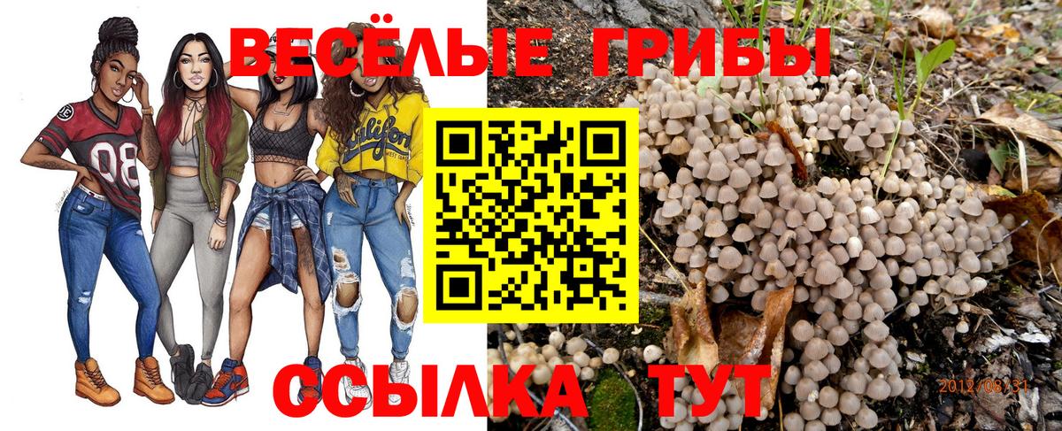 Псилоцибиновые грибы мицелий Спасск-Дальний